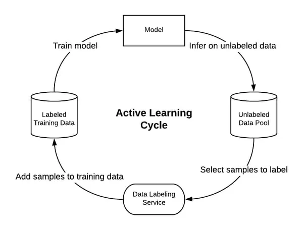 The Active Learning Cycle